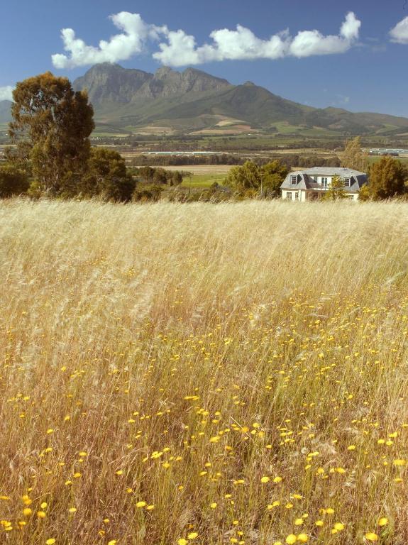 Belair Country House Bed & Breakfast Paarl Luaran gambar