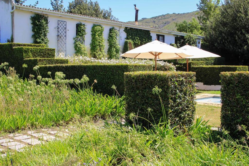 Belair Country House Bed & Breakfast Paarl Luaran gambar